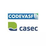casec.jpg